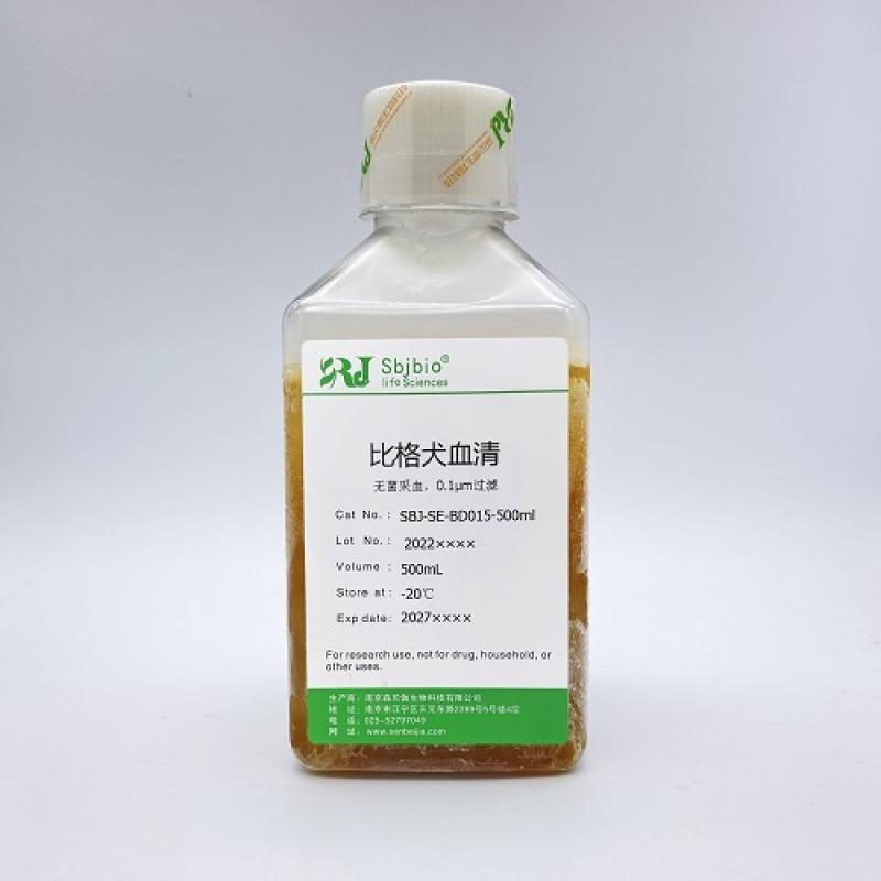 比格犬血清