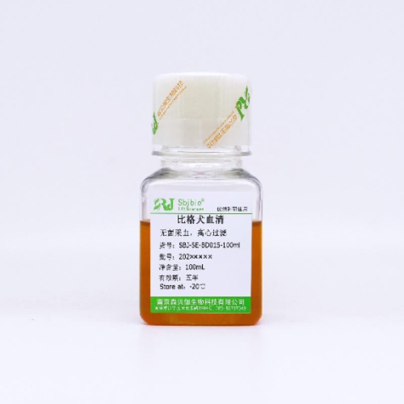 比格犬血清